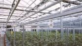 joint ventures