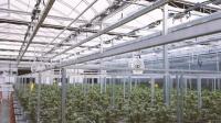 joint ventures